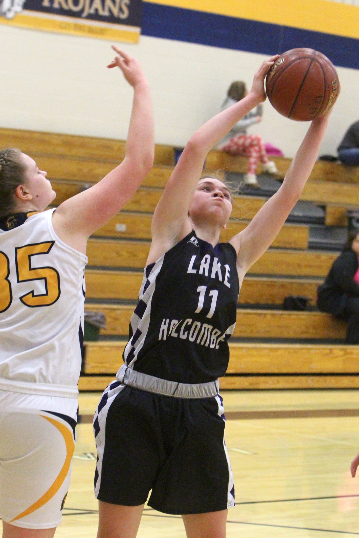 Lake Holcombe at New Auburn girls basketball 2-14-19